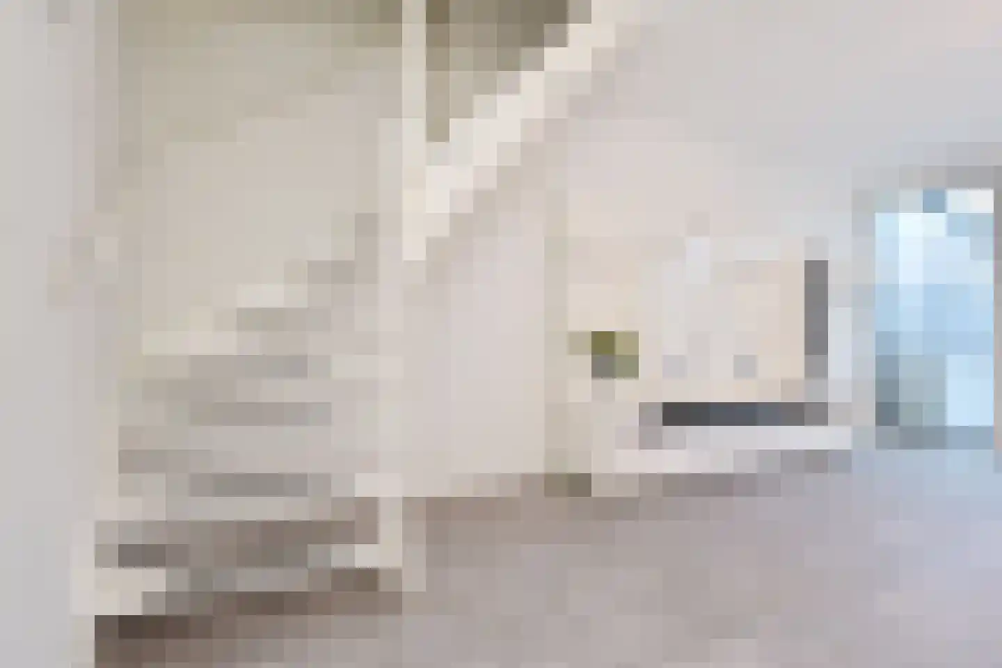 Jacob Schorerlaan 201 Den Haag thumbnail 18