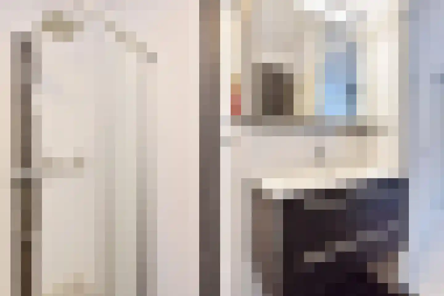 Jacob Schorerlaan 201 Den Haag thumbnail 19