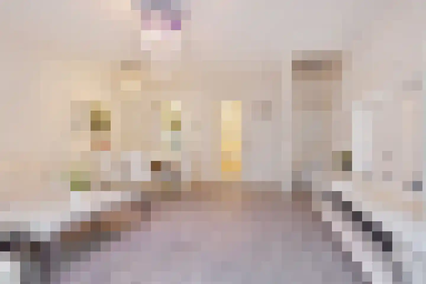 Jacob Schorerlaan 201 Den Haag thumbnail 7