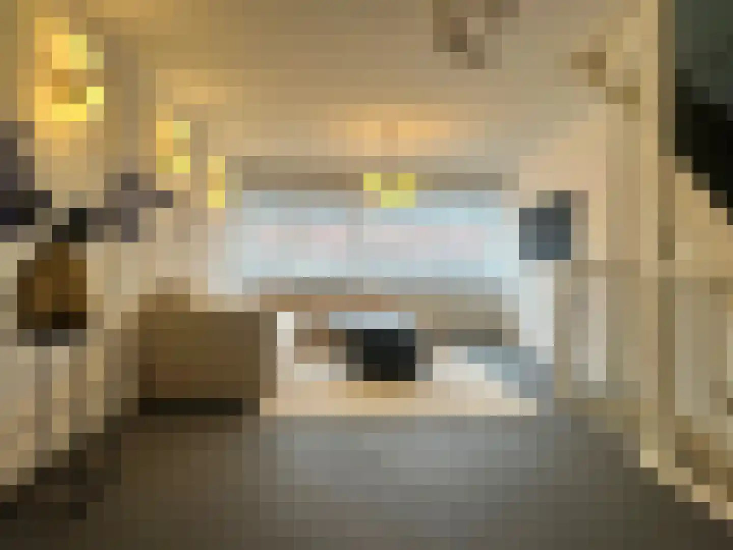 Jacob Schorerlaan 215 Den Haag thumbnail 13