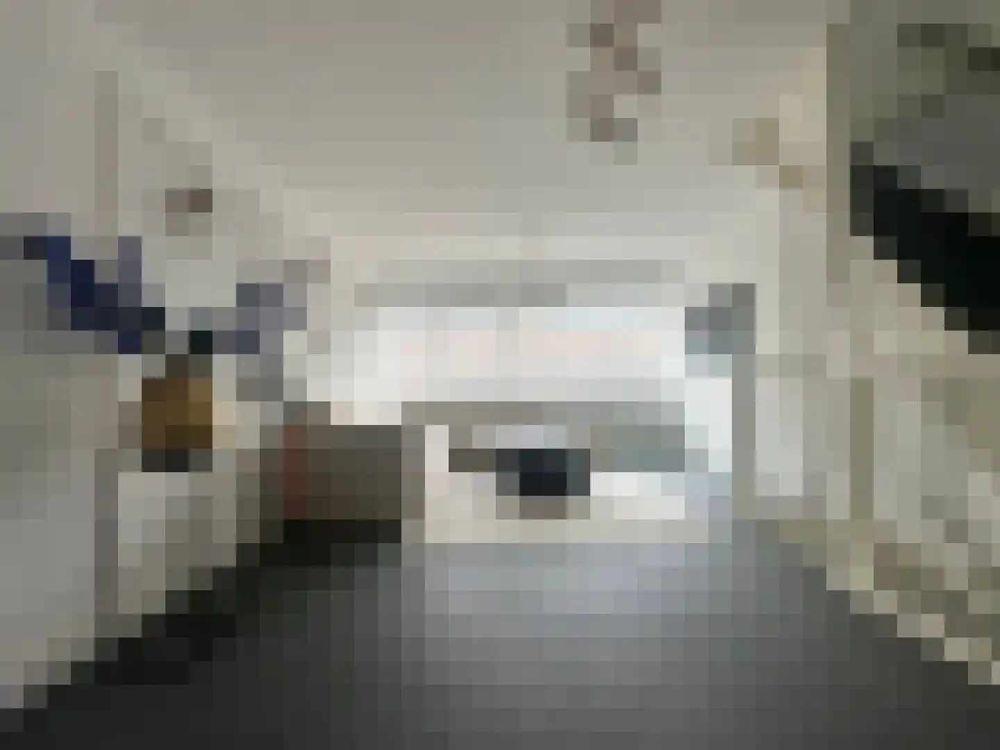 Jacob Schorerlaan 215 Den Haag thumbnail 18