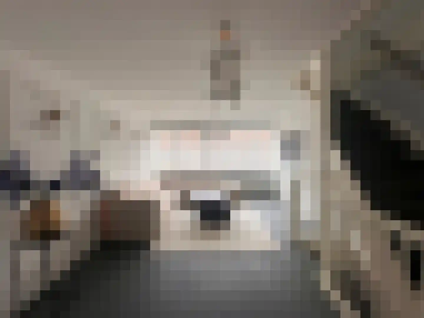 Jacob Schorerlaan 215 Den Haag thumbnail 19
