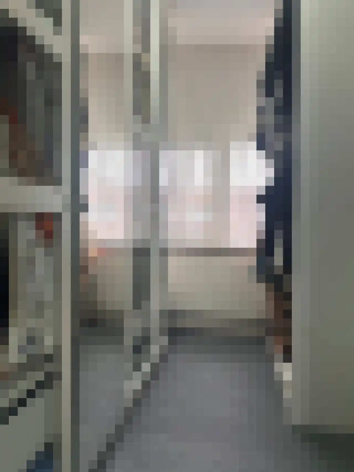 Jacob Schorerlaan 215 Den Haag thumbnail 27
