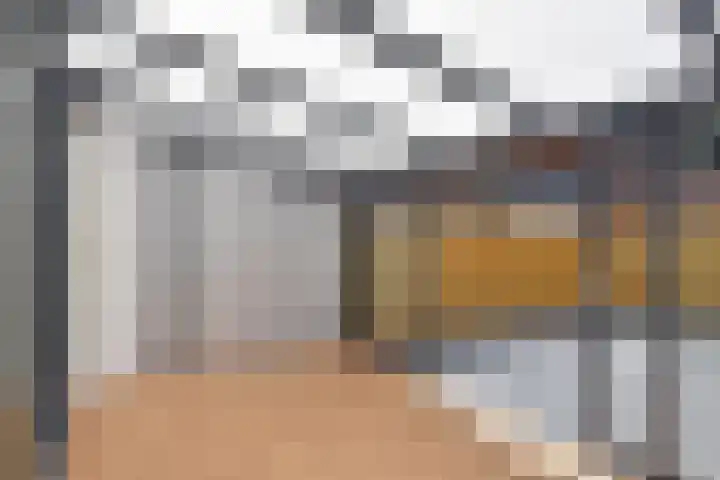 Jacob Schorerlaan 221 Den Haag thumbnail 12