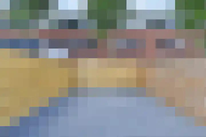 Jacob Schorerlaan 221 Den Haag thumbnail 13
