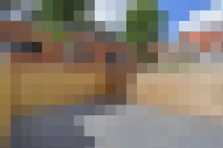 Jacob Schorerlaan 221 Den Haag thumbnail 14