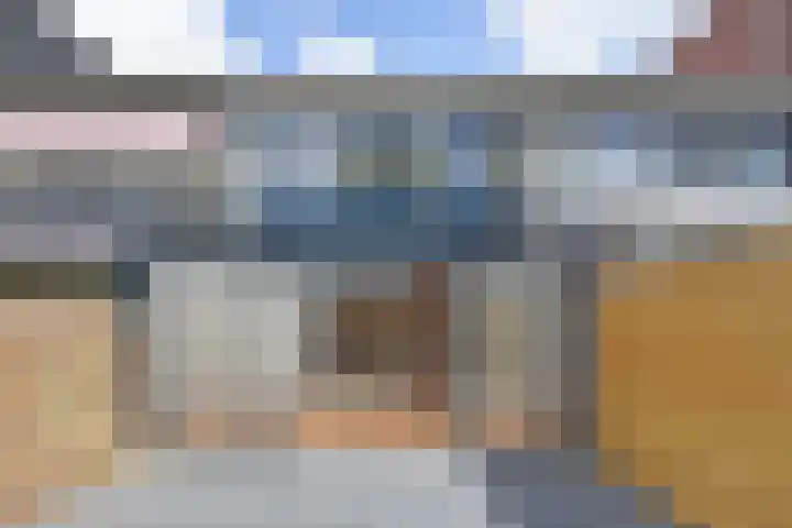 Jacob Schorerlaan 221 Den Haag thumbnail 16