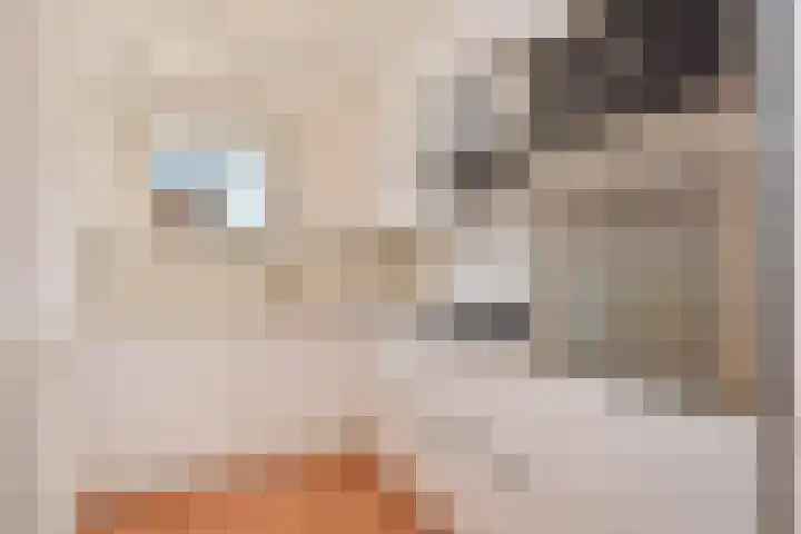 Jacob Schorerlaan 221 Den Haag thumbnail 19