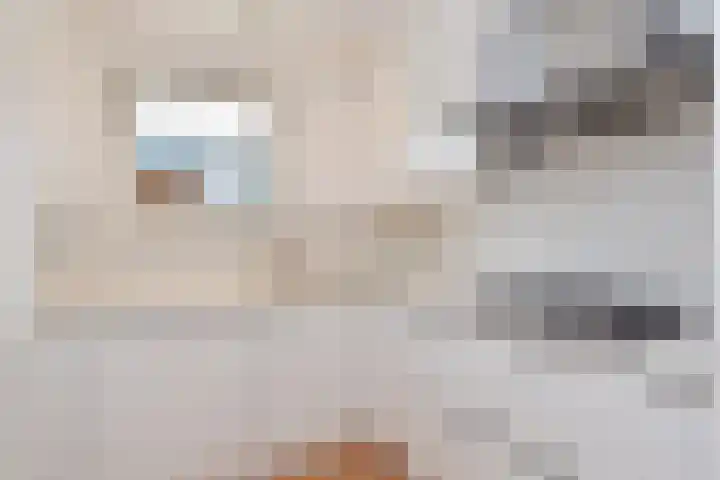 Jacob Schorerlaan 221 Den Haag thumbnail 20