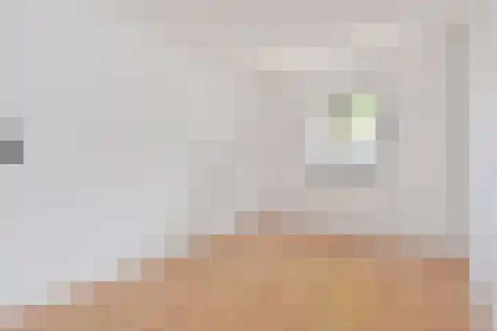 Jacob Schorerlaan 221 Den Haag thumbnail 25