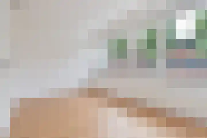 Jacob Schorerlaan 221 Den Haag thumbnail 35