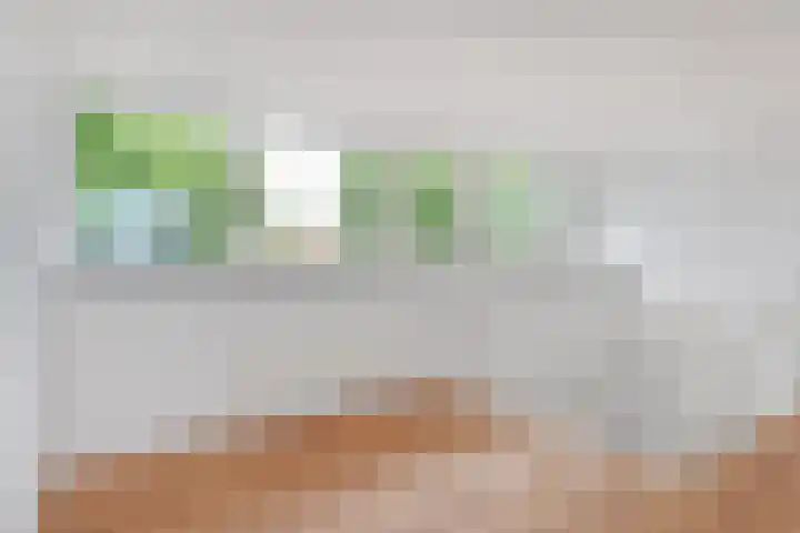 Jacob Schorerlaan 221 Den Haag thumbnail 39