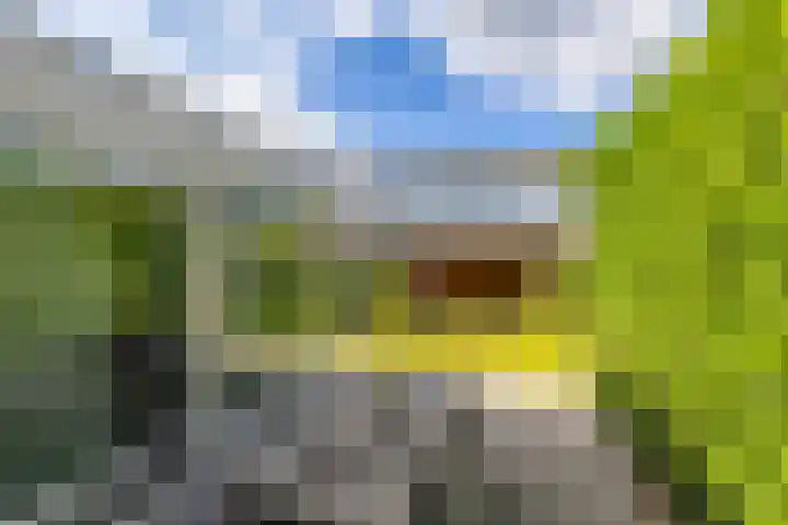 Jacob Schorerstraat 10 Groningen thumbnail 24