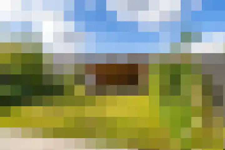 Jacob Schorerstraat 10 Groningen thumbnail 25