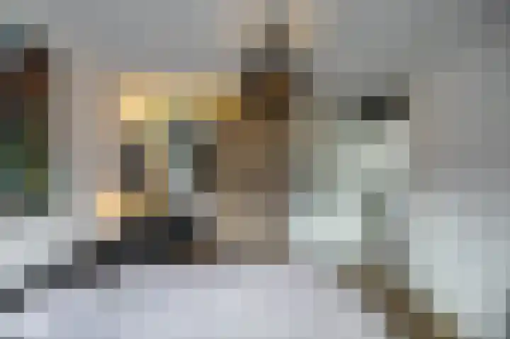 Jacob Schorerstraat 10 Groningen thumbnail 35