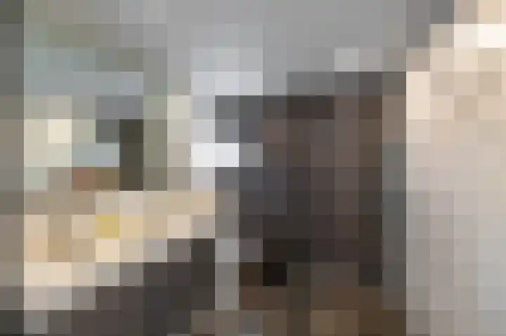 Jacob Schorerstraat 10 Groningen thumbnail 42