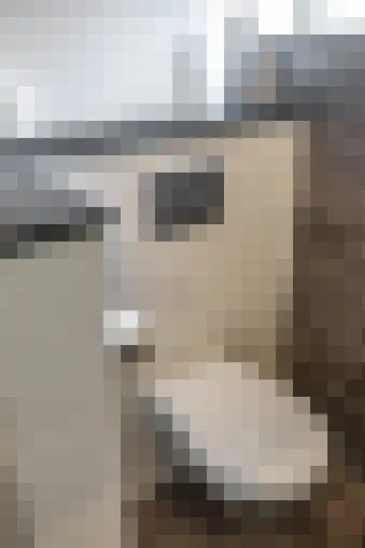 Jacob Schorerstraat 10 Groningen thumbnail 45