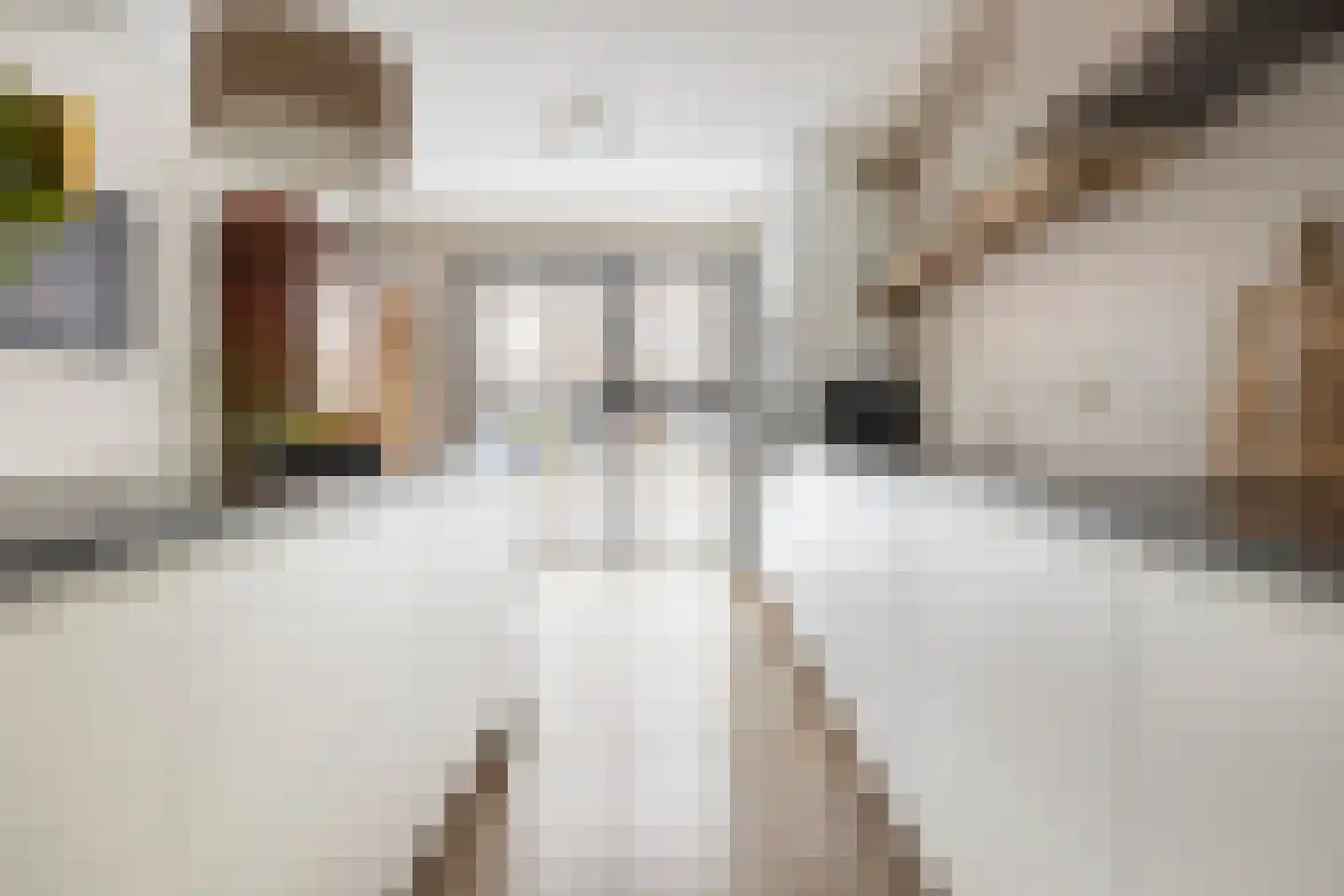 Jacob Schorerstraat 20 Groningen thumbnail 19