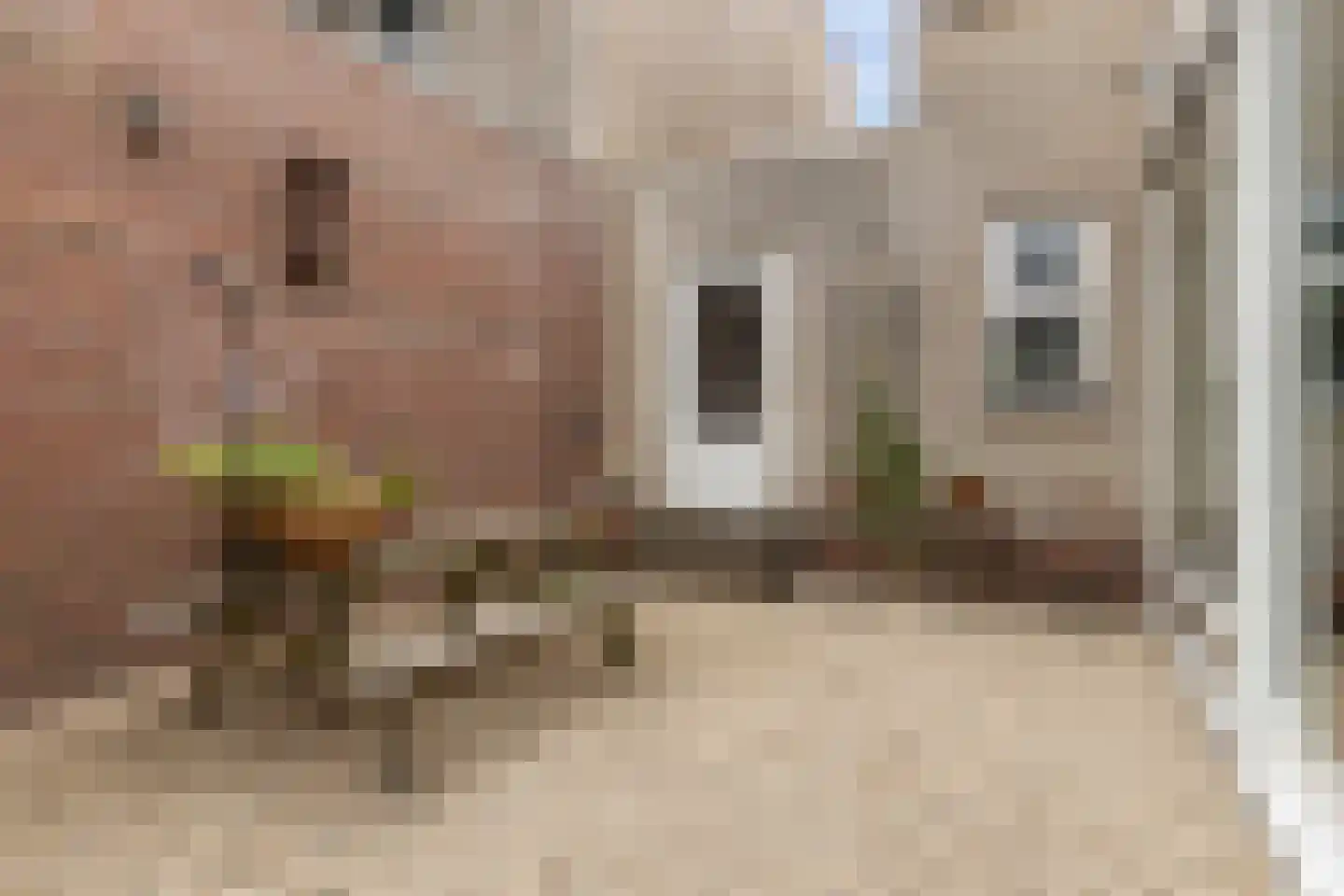 Jacob Schorerstraat 20 Groningen thumbnail 36