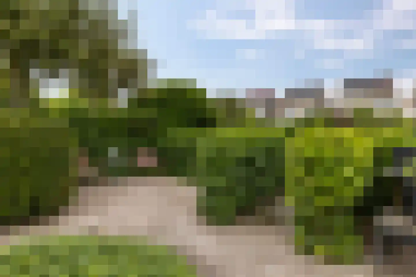 Jacob Schorerstraat 20 Groningen thumbnail 39