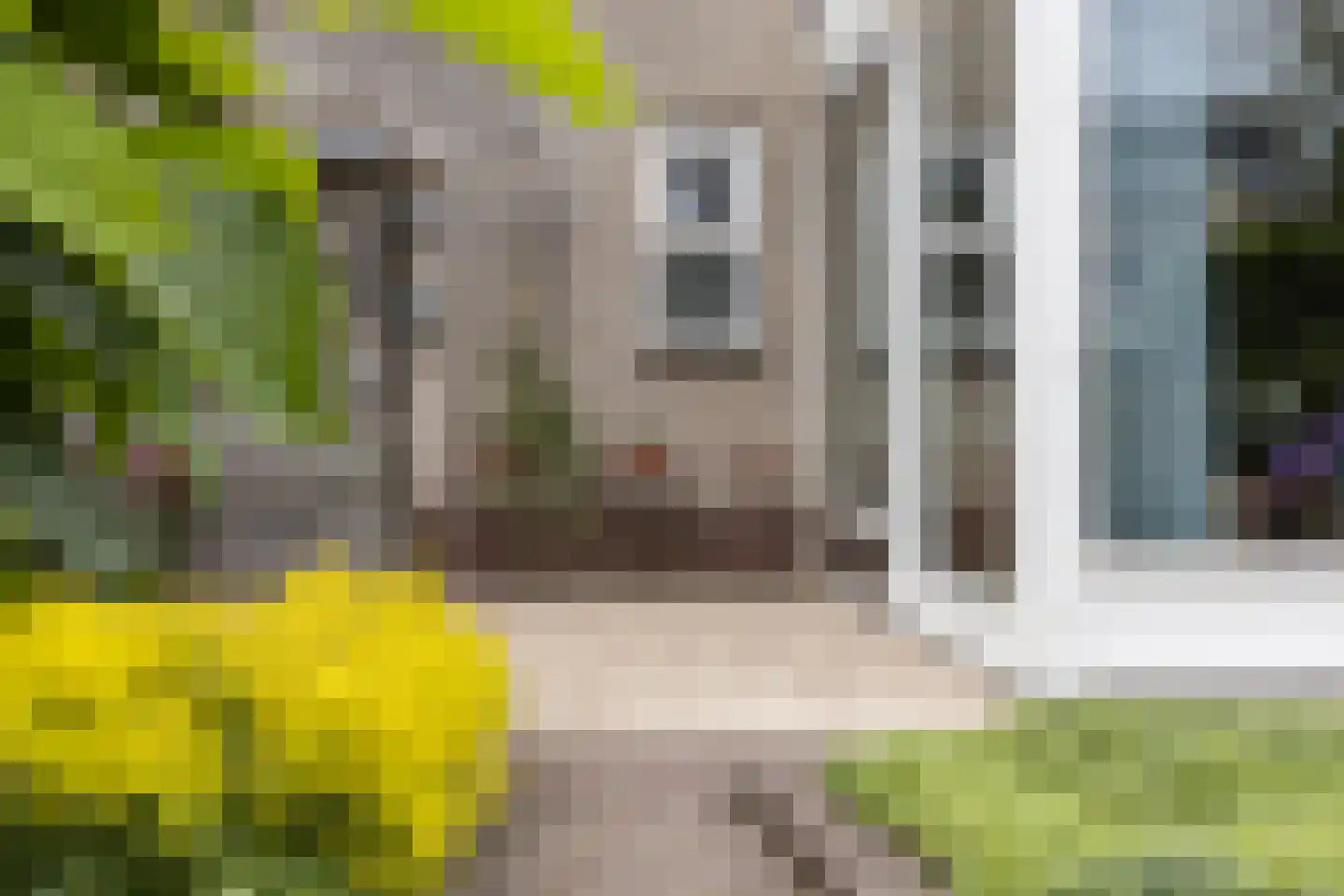 Jacob Schorerstraat 20 Groningen thumbnail 40