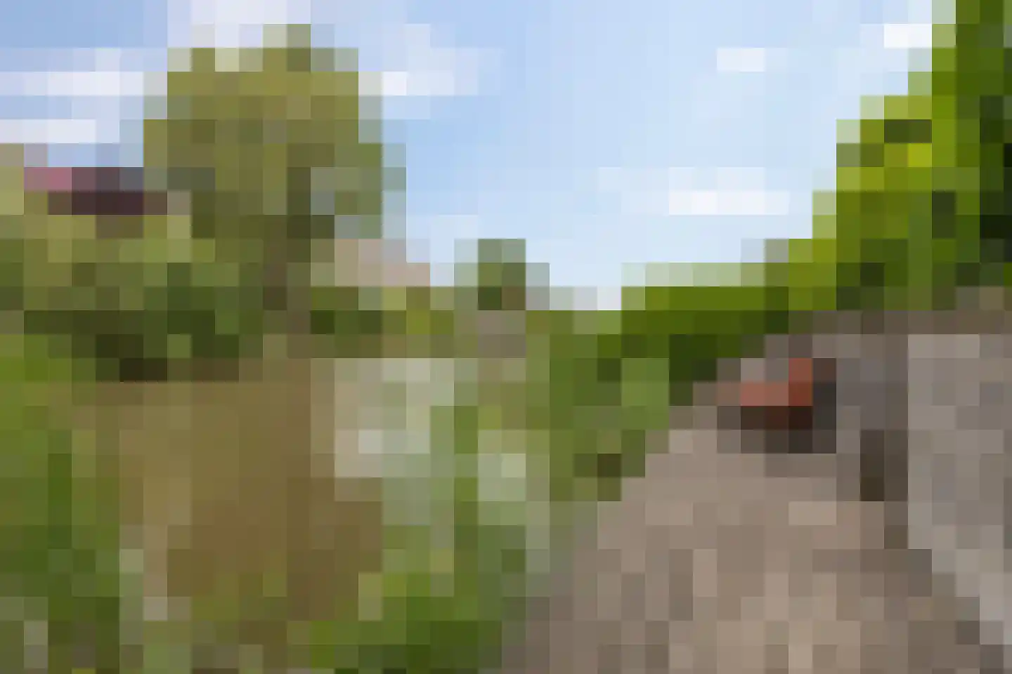 Jacob Schorerstraat 20 Groningen thumbnail 6