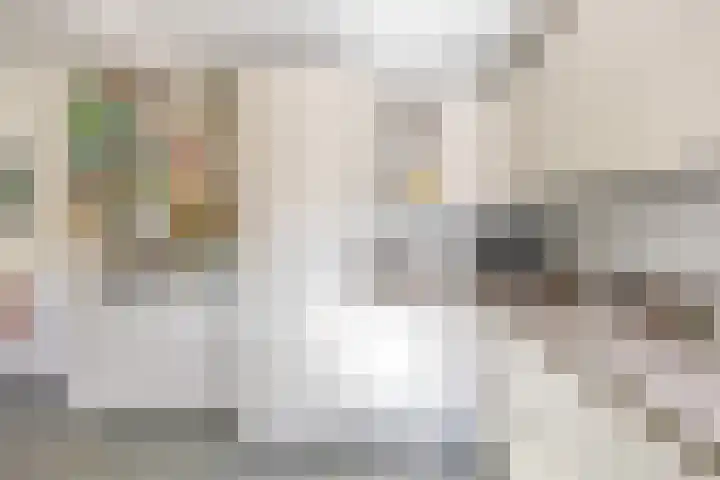 Jacob Schorerstraat 48 Groningen thumbnail 13