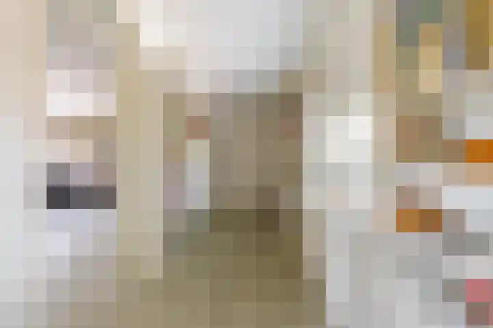 Jacob Schorerstraat 48 Groningen thumbnail 29