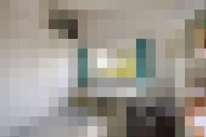 Jacob Schorerstraat 48 Groningen thumbnail 35