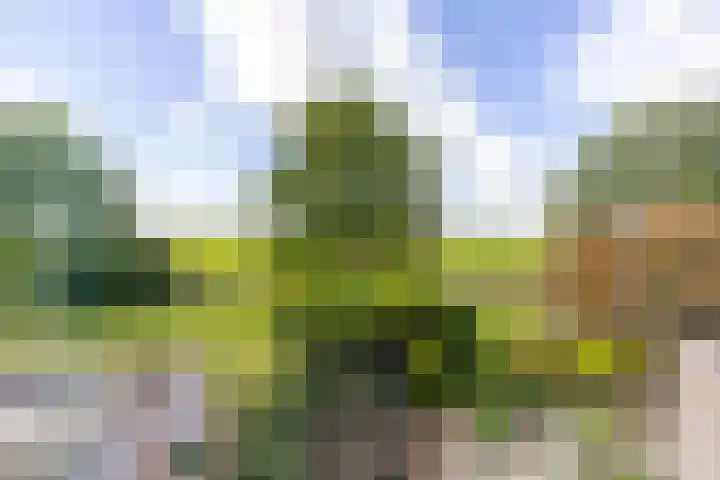 Jacob Schorerstraat 48 Groningen thumbnail 36