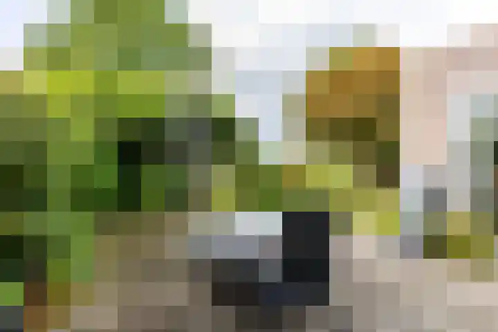 Jacob Schorerstraat 48 Groningen thumbnail 40