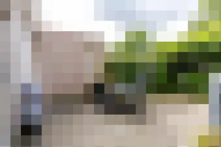Jacob Schorerstraat 48 Groningen thumbnail 41