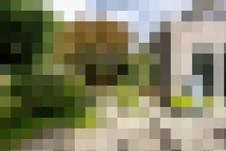 Jacob Schorerstraat 48 Groningen thumbnail 43