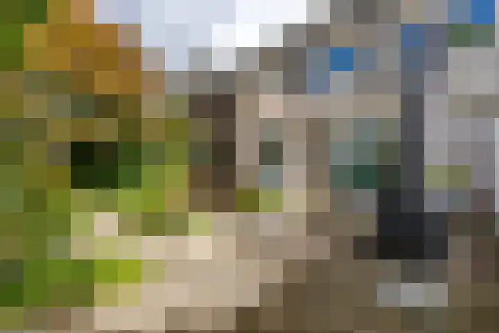 Jacob Schorerstraat 48 Groningen thumbnail 44