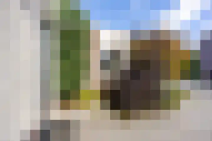 Jacob Schorerstraat 48 Groningen thumbnail 45