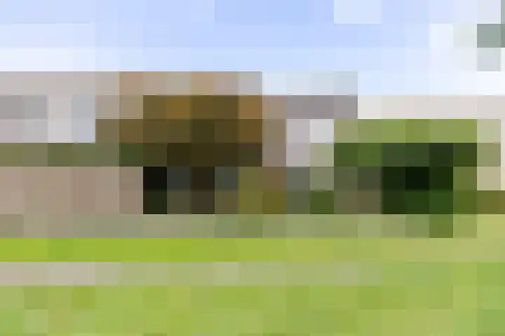 Jacob Schorerstraat 48 Groningen thumbnail 47