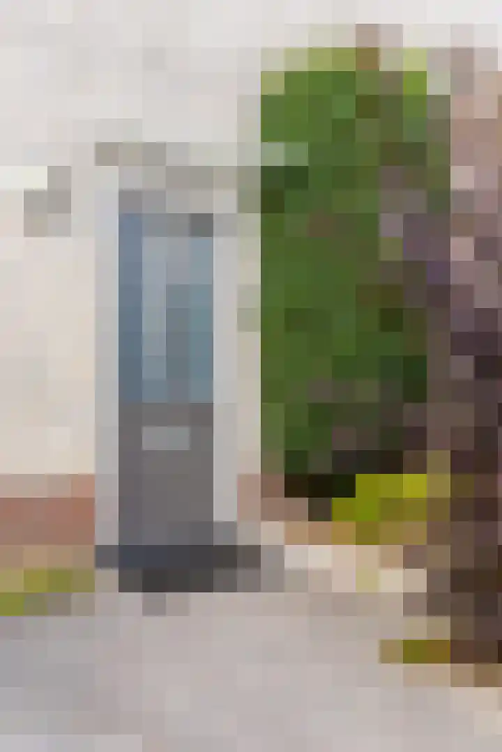 Jacob Schorerstraat 48 Groningen thumbnail 5