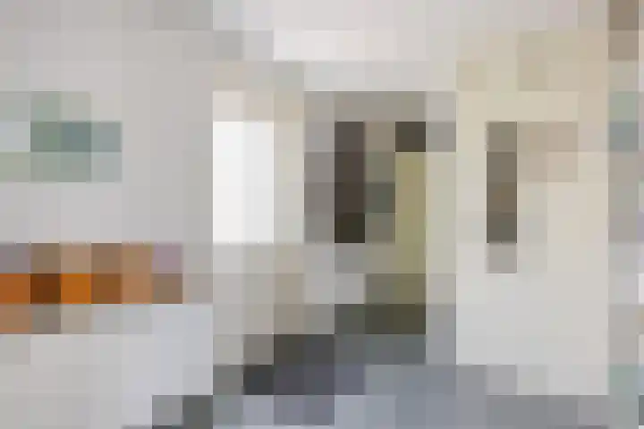 Jacob Schorerstraat 48 Groningen thumbnail 7