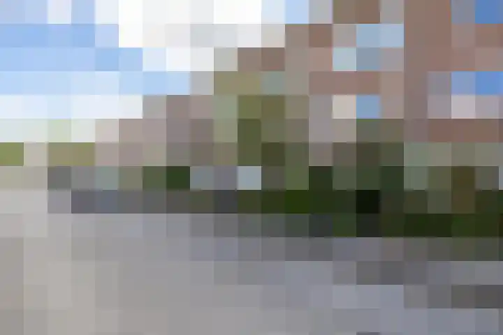 Jacob Schorerstraat 55 Groningen thumbnail 5