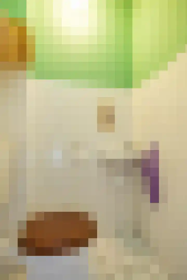 Jacob Schorerstraat 55 Groningen thumbnail 8