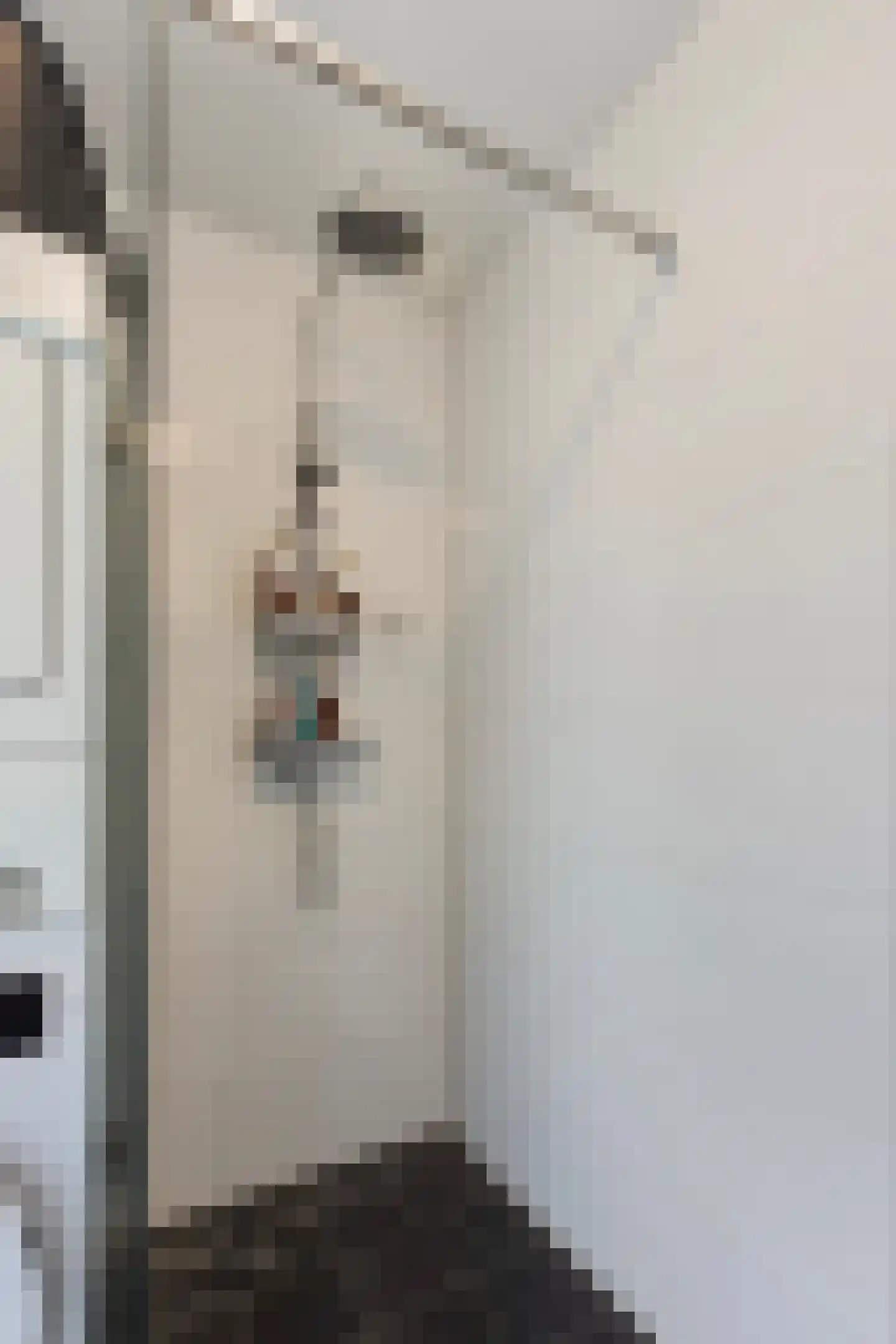 Jacob Simonsz. de Rijkstraat 128 Utrecht thumbnail 13