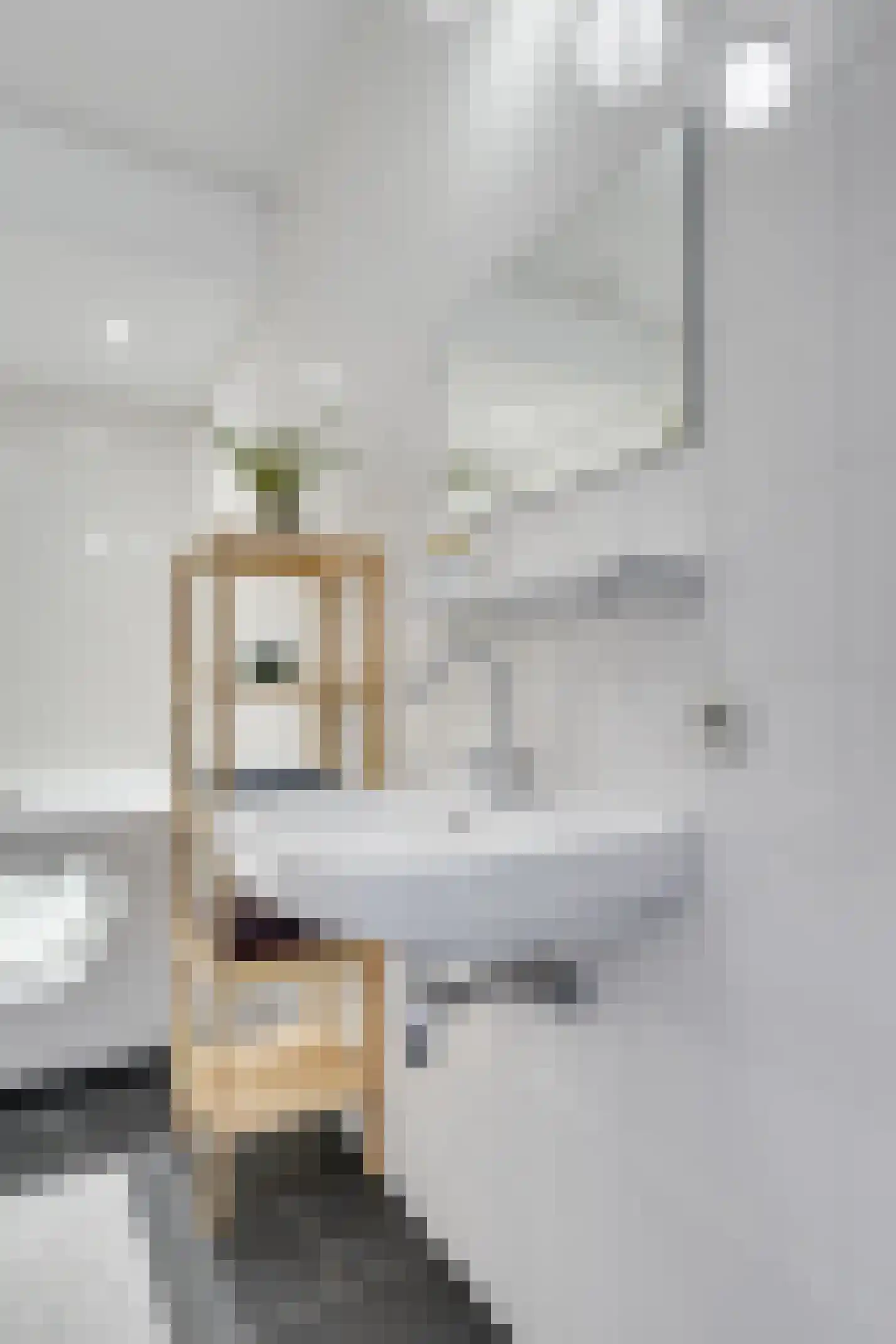 Jacob Simonsz. de Rijkstraat 38 Utrecht thumbnail 13