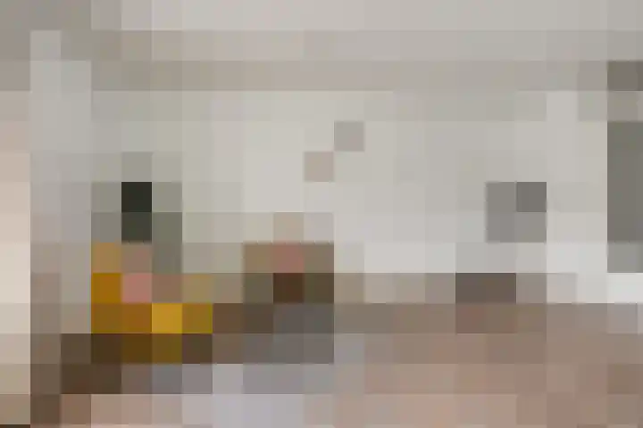 Jacob Simonsz. de Rijkstraat 66 Utrecht thumbnail 8
