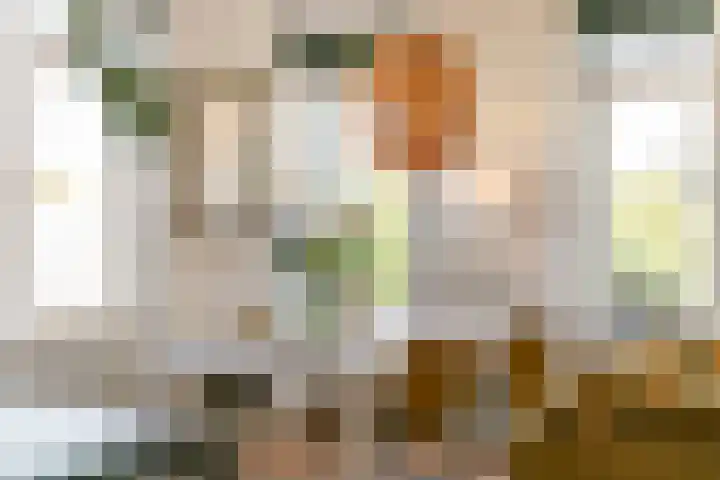 Jacob Simonsz. de Rijkstraat 98 Utrecht thumbnail 7