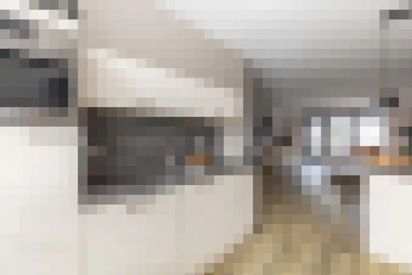 Jacob Stolpstraat 12 Middenbeemster thumbnail 19