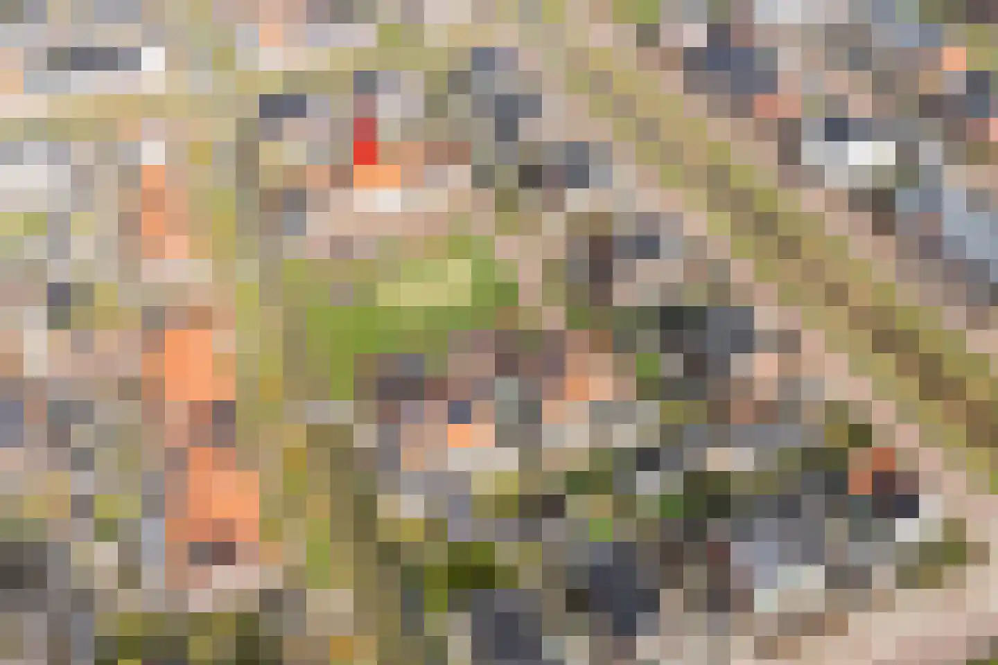 Jacob Stolpstraat 12 Middenbeemster thumbnail 47