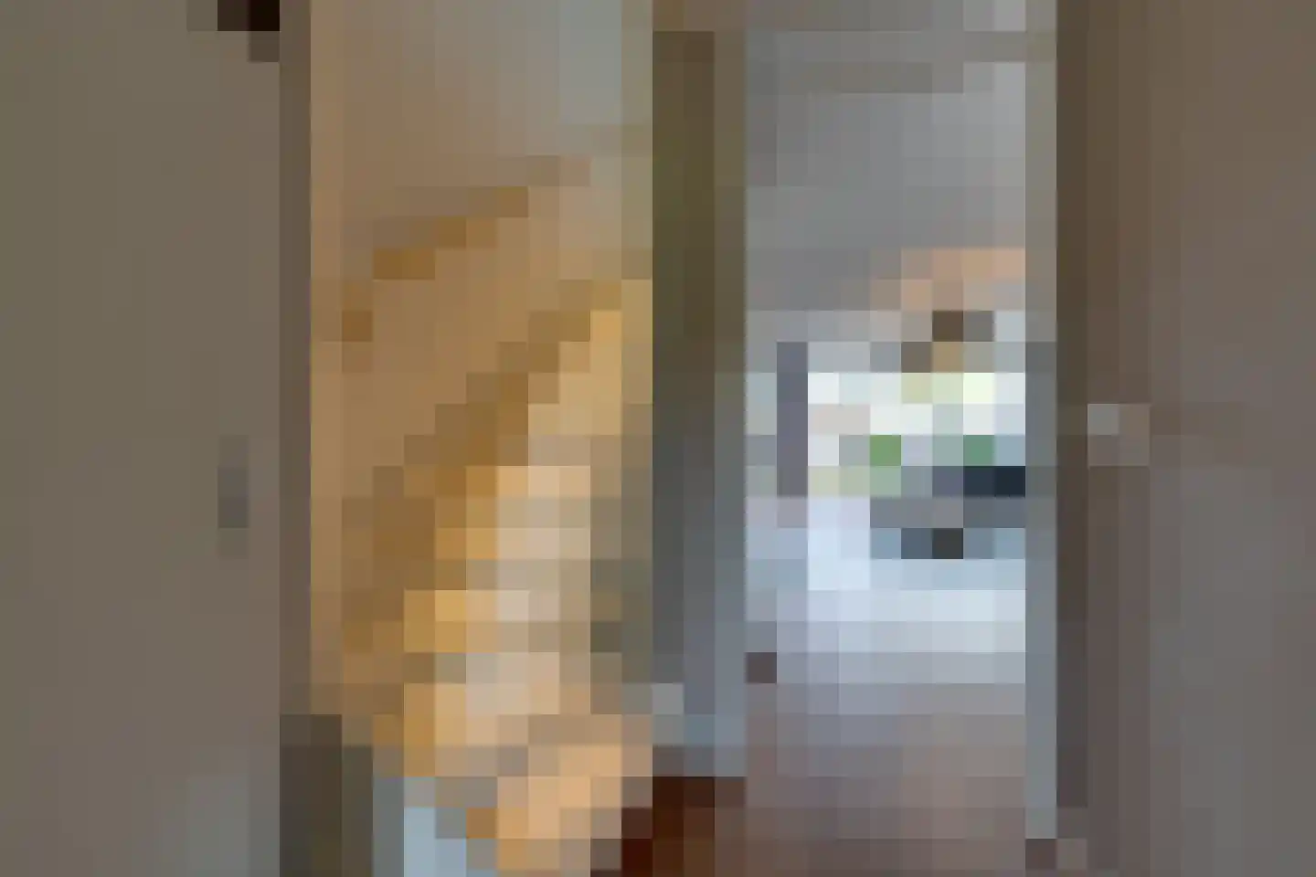 Jacob Stolpstraat 8 Middenbeemster thumbnail 11