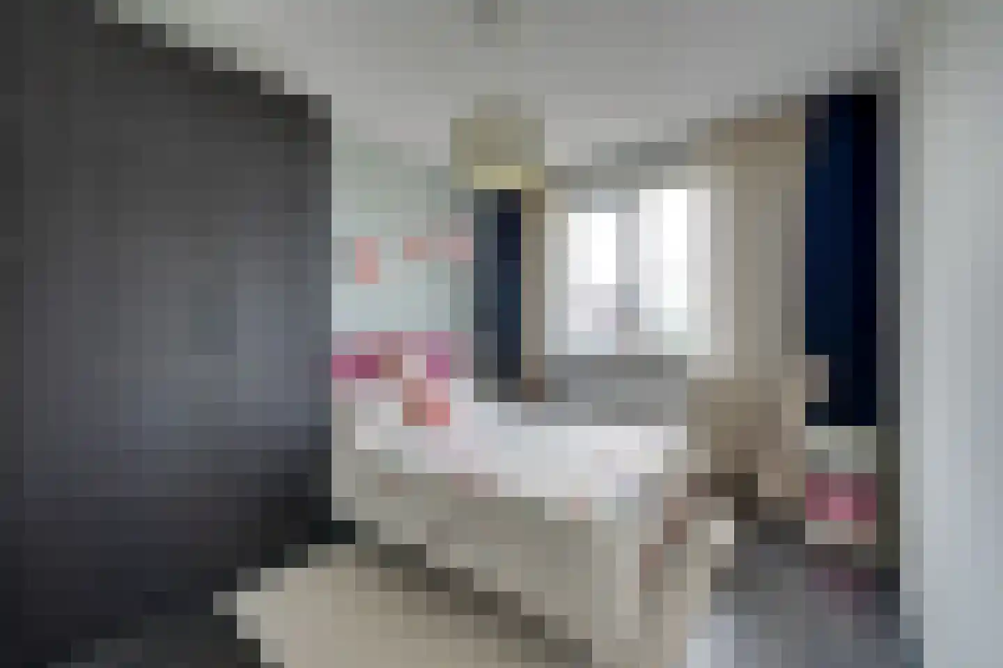Jacob Stolpstraat 8 Middenbeemster thumbnail 34