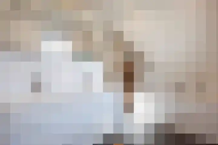 Jacob Teweslaan 3 Uithuizen thumbnail 37