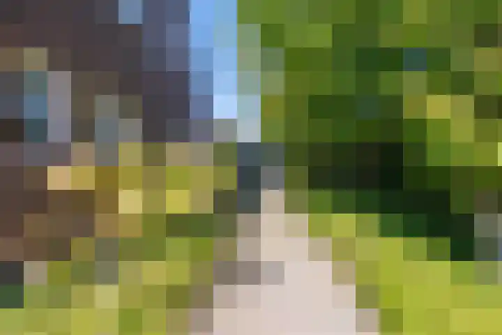 Jacob Teweslaan 3 Uithuizen thumbnail 47
